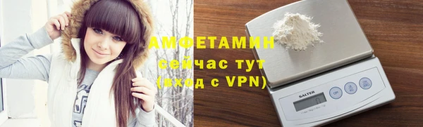 молекула духа Богородск